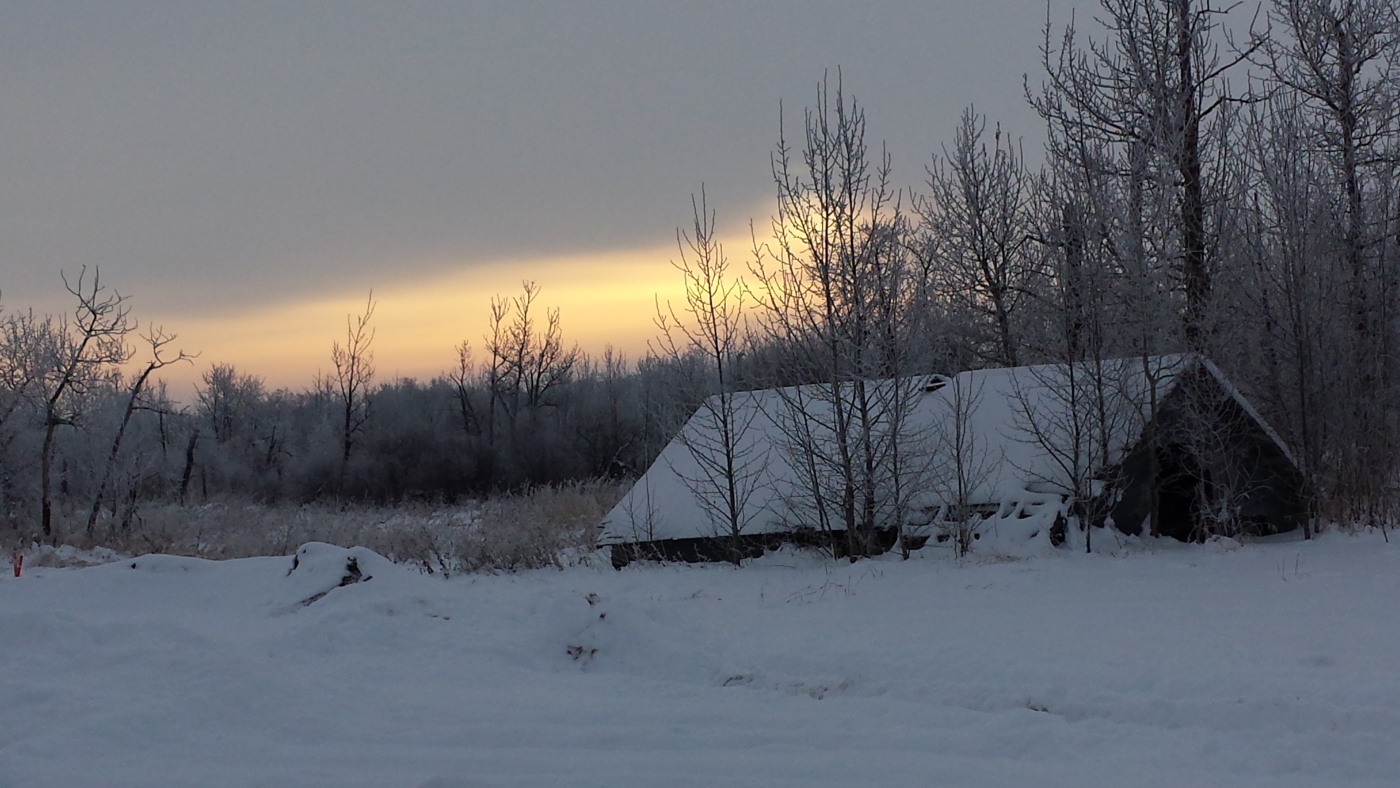 Farm